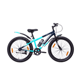 ALPINE SPORTS