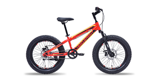Hero Cycles Massive