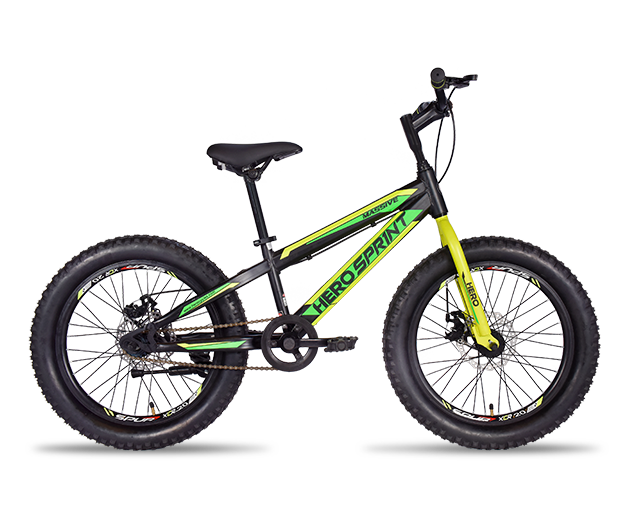 hero 20 inch cycle price