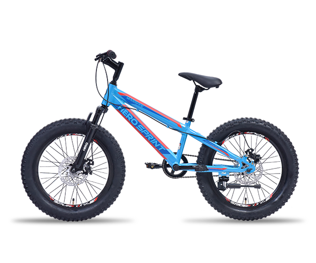Buy Hero Massive 20T SS FS Blue Kids Cycle Hero Cycles
