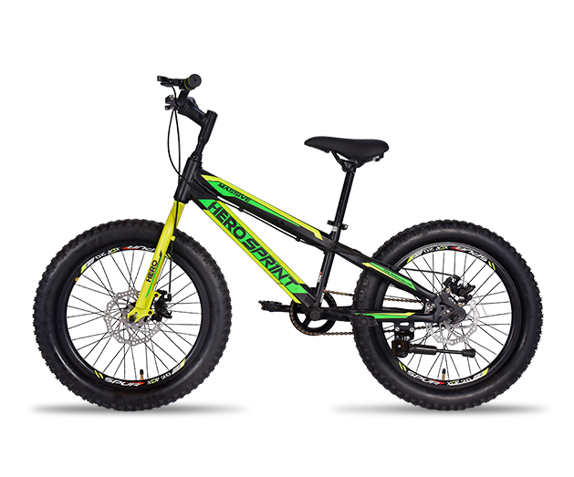 Buy Hero Massive 20T SS DD RS Black Kids Cycle Hero Cycles