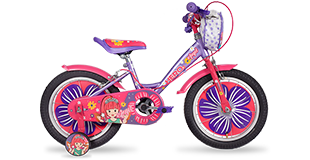 Hero Cycles Angel
