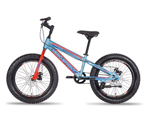 Hero cycles deals 20 inches