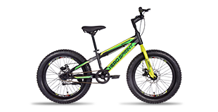 Hero Cycles Massive