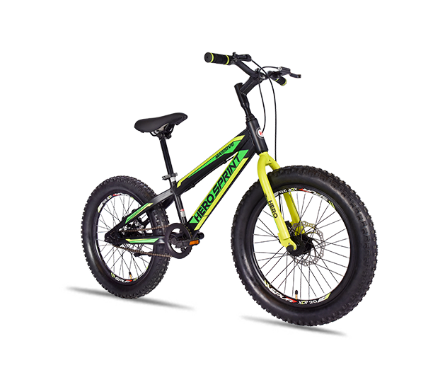 hero cycles 20 inches price