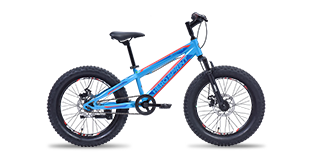 Hero Cycles Massive
