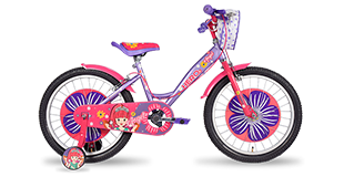 Hero Cycles Angel