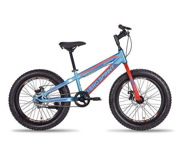 20 inch hero sale cycle