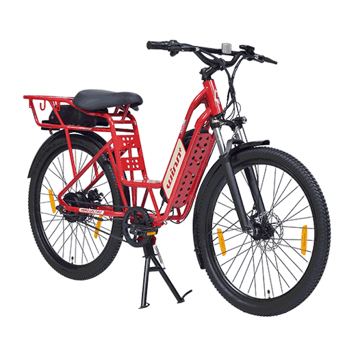 Hero electric cycle 2025 battery